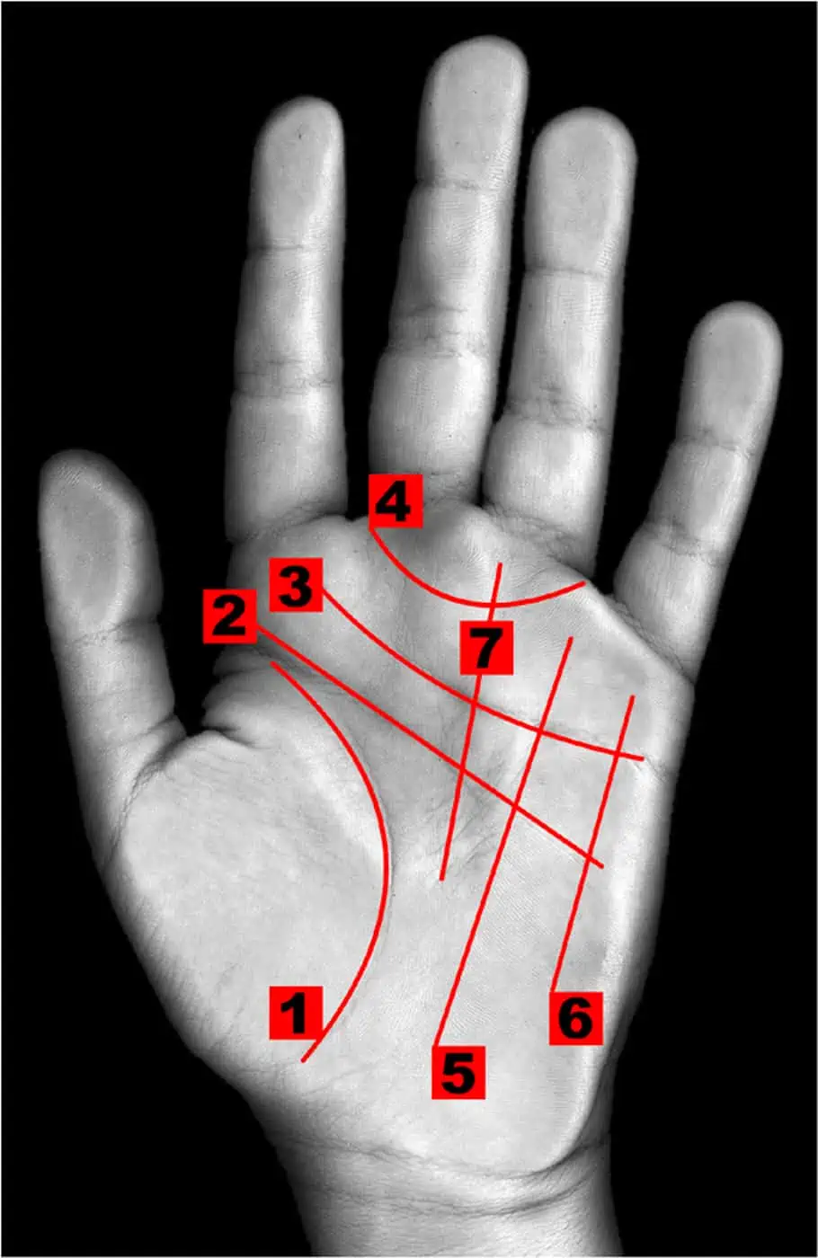 Handlinien Bild: Jean-no FAL / Wikimedia